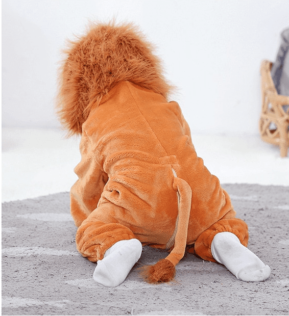 Lion Baby Jumpsuit JuniorHaul