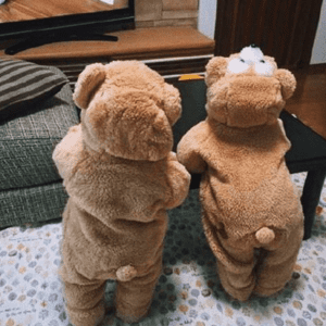 Teddy Bear Baby Jumpsuit JuniorHaul