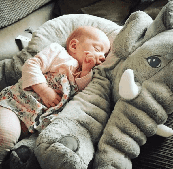 Peekaboo Baby Elephant Toy JuniorHaul