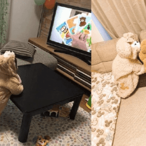 Teddy Bear Baby Jumpsuit JuniorHaul