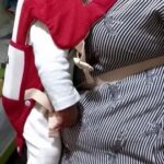 Baby Kangaroo Carrier photo review