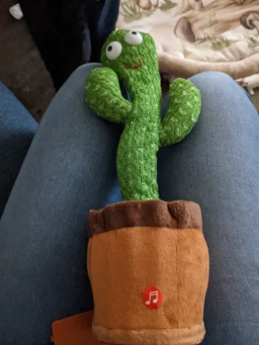 Dancing And Twisting Cactus Plush Toy photo review