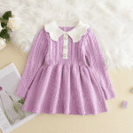 Long Sleeve Winter Dress